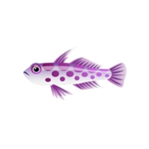 Polka Dot Goby